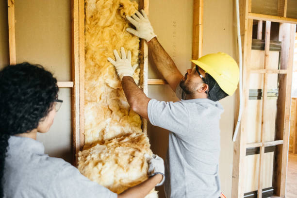 Types of Insulation We Offer in La Grange, IL